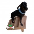 מדרגות לכלבים לעלייה לספות ומיטות - מתאים לכלבים עד 40 ק"ג